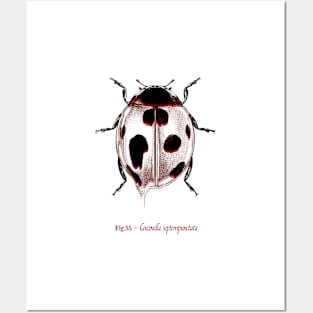 Ladybug Vintage Posters and Art